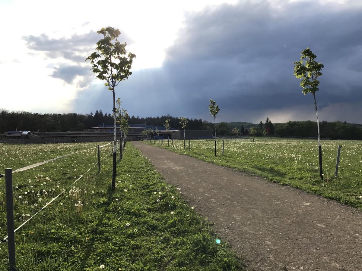 Farma Noe Guest House Brezina  Eksteriør bilde